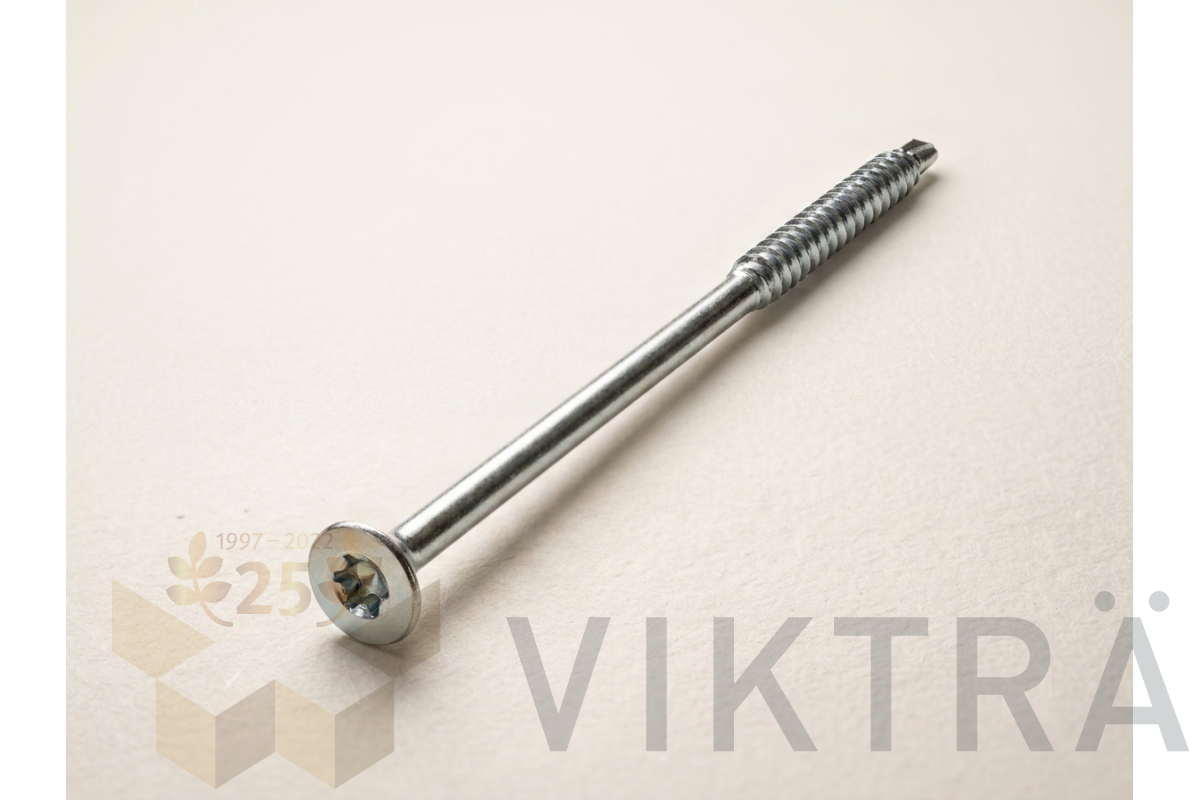 Kruvi  6,0 x 160 1000154.png
